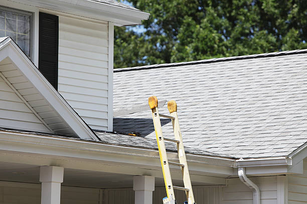 Affordable Siding Repair and Maintenance Services in Lyford, TX